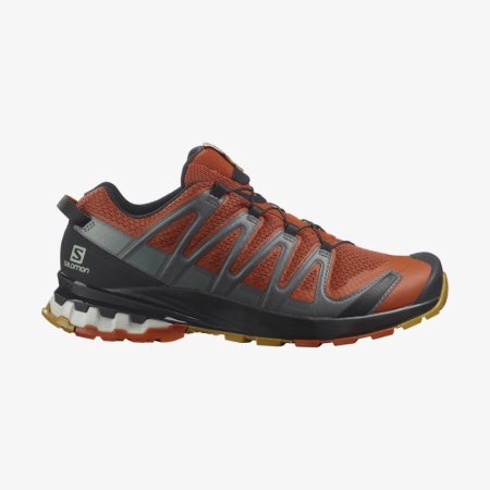 Salomon XA PRO 3D v8 Mens Hiking Shoes Brown UK CPZL